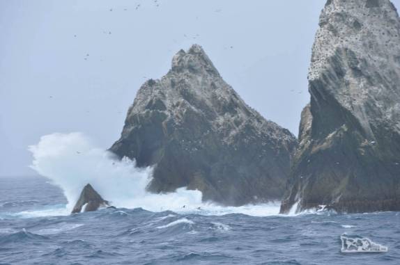 Ondas explodem em um dos rochedos de Shag Rocks, entre Falkland e Geórgia do Sul